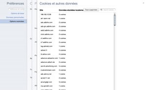 Cookies sous Google Chrome
