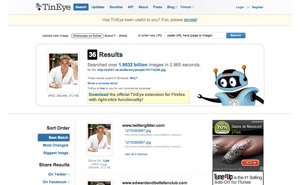 Screenshot du site TinEye